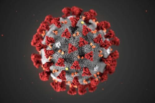 HTR Refactories Belgrade | How RHI Magnesita deals with COVID-19